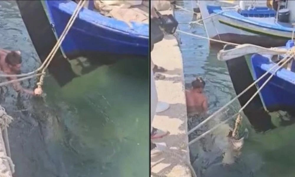 Χελώνα καρέτα καρέτα έκανε «χαλάστρα» σε γυρίσματα ερωτικής ταινίας στην Ανάβυσσο - Δάγκωσε πορνοστάρ στα οπίσθια!